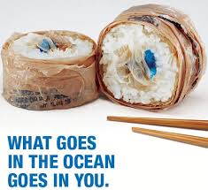 plastic,food,eat,oceans,sea
